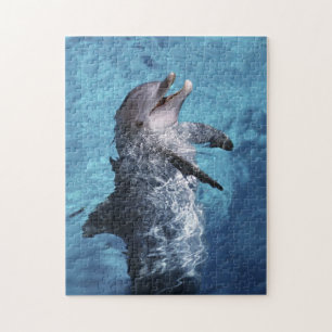 Nordamerika, USA, Hawaii. Delfin Puzzle