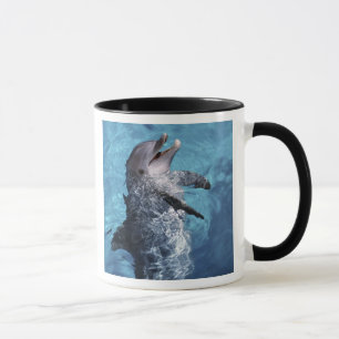 Nordamerika, USA, Hawaii. Delfin Tasse