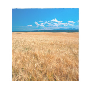 Nordamerika, USA, Idaho. Gerstenfeld Notizblock