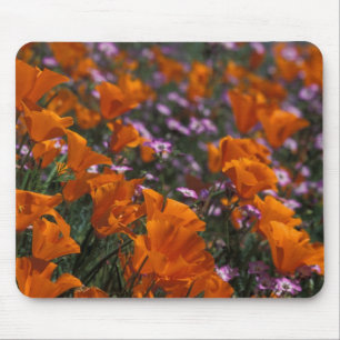 Nordamerika, USA, Kalifornien, Antelope Valley, 2 Mousepad