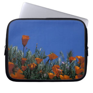 Nordamerika, USA, Kalifornien, Antelope Valley, 3 Laptopschutzhülle
