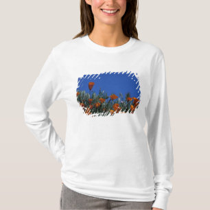 Nordamerika, USA, Kalifornien, Antelope Valley, 3 T-Shirt