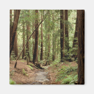 Nordamerika, USA, Kalifornien, Big Sur, 3 Magnet