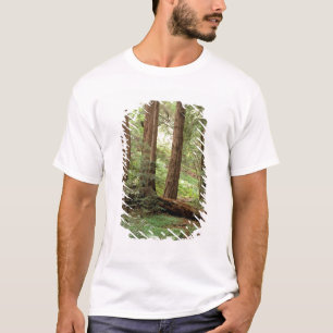 Nordamerika, USA, Kalifornien, Big Sur, T-Shirt