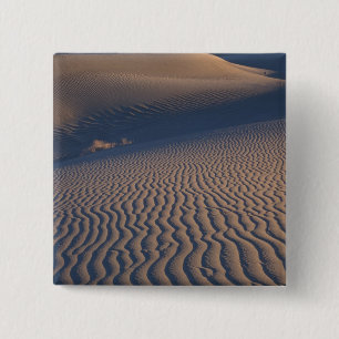 Nordamerika, USA, Kalifornien, Death Valley Button
