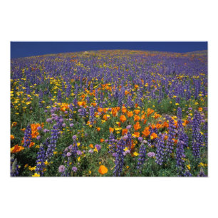 Nordamerika, USA, Kalifornien, Los Angeles 2 Fotodruck