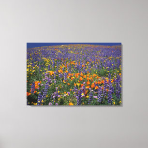 Nordamerika, USA, Kalifornien, Los Angeles 2 Leinwanddruck