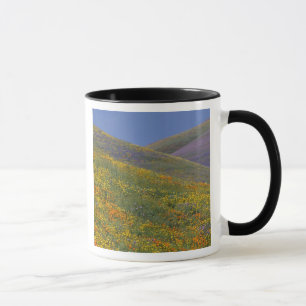 Nordamerika, USA, Kalifornien, Los Angeles Tasse