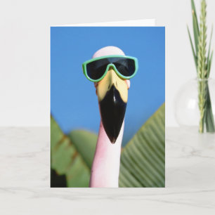 Nordamerika, USA, Kalifornien, San Diego.Meeresmee Karte