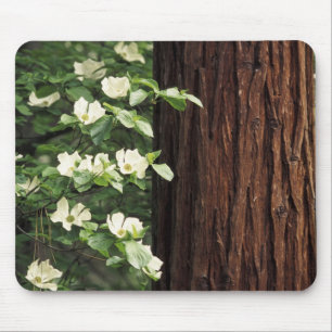 Nordamerika, USA, Kalifornien, Yosemite 3 Mousepad