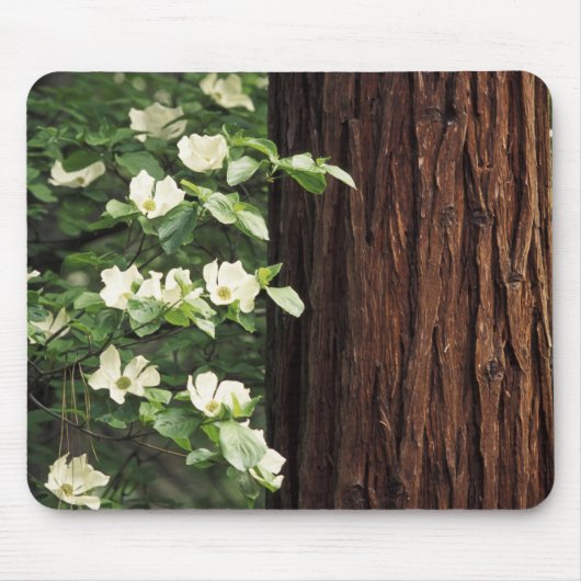 Nordamerika, USA, Kalifornien, Yosemite 3 Mousepad (Vorne)