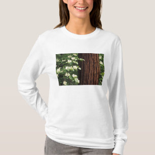 Nordamerika, USA, Kalifornien, Yosemite 3 T-Shirt