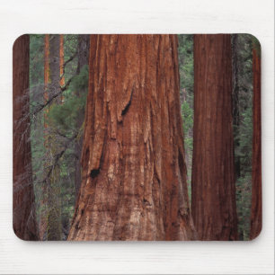 Nordamerika, USA, Kalifornien, Yosemite NP, 2 Mousepad