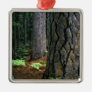 Nordamerika, USA, Kalifornien, Yosemite Silbernes Ornament