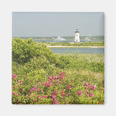 Nordamerika, USA, Massachusetts, Martha Magnet (Vorne)