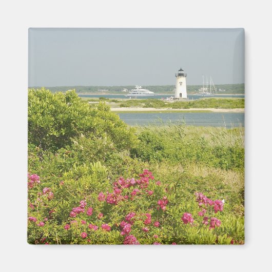 Nordamerika, USA, Massachusetts, Martha Magnet (Vorne)