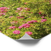 Nordamerika, USA, Massachusetts, Martha Poster (Ecke)