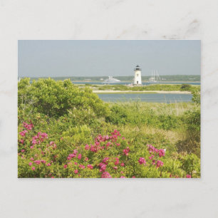 Nordamerika, USA, Massachusetts, Martha Postkarte