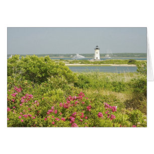 Nordamerika, USA, Massachusetts, Martha's