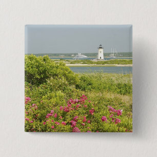 Nordamerika, USA, Massachusetts, Martha's Button