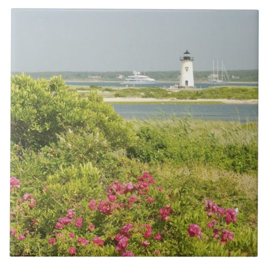 Nordamerika, USA, Massachusetts, Martha's Fliese (Vorderseite)