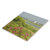 Nordamerika, USA, Massachusetts, Martha's Fliese (Seite)