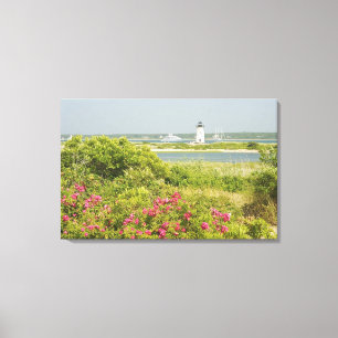 Nordamerika, USA, Massachusetts, Martha's Leinwanddruck