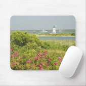 Nordamerika, USA, Massachusetts, Martha's Mousepad (Mit Mouse)