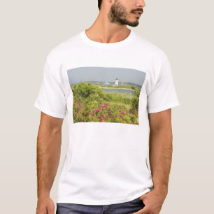 Nordamerika, USA, Massachusetts, Martha's T-Shirt