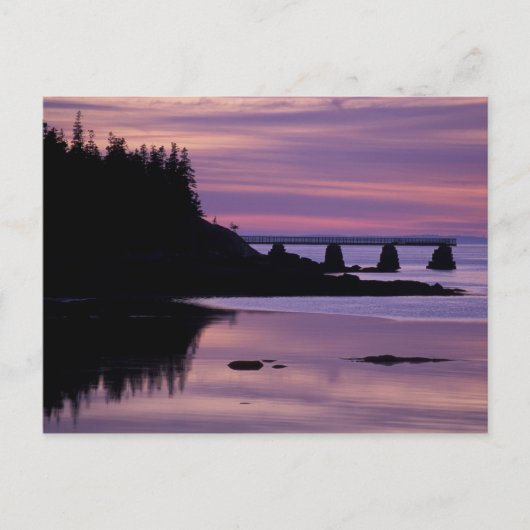 Nordamerika, USA, ME, Isle Au Haut. Duck Postkarte (Vorderseite)