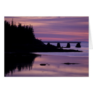 Nordamerika, USA, ME, Isle Au Haut.Ente