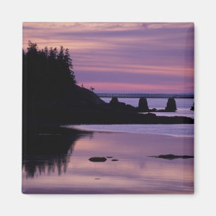 Nordamerika, USA, ME, Isle Au Haut. Ente Magnet