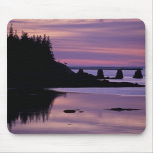 Nordamerika, USA, ME, Isle Au Haut. Ente Mousepad