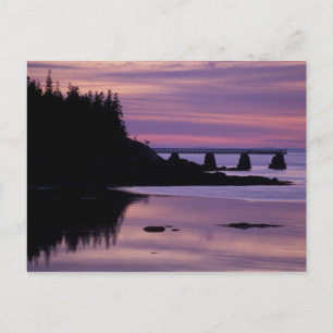 Nordamerika, USA, ME, Isle Au Haut. Ente Postkarte