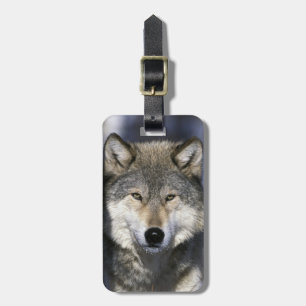 Nordamerika, USA, Minnesota. Wolf Canis Gepäckanhänger