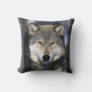 Nordamerika, USA, Minnesota. Wolf Canis Kissen