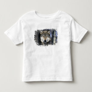 Nordamerika, USA, Minnesota. Wolf Canis Kleinkind T-shirt
