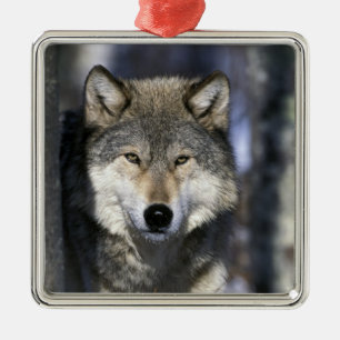 Nordamerika, USA, Minnesota. Wolf Canis Ornament Aus Metall