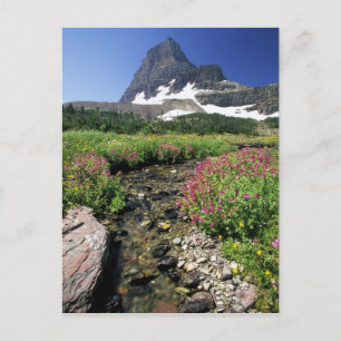 Nordamerika, USA, Montana, Glacier National 3 Postkarte