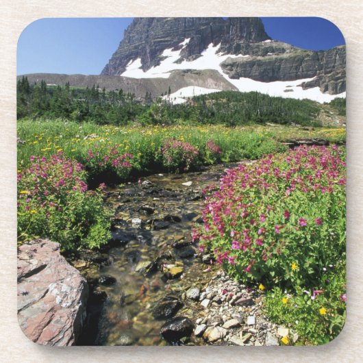 Nordamerika, USA, Montana, Glacier National 3 Untersetzer (Vorderseite)