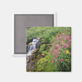 Nordamerika, USA, Montana, Glacier National 4 Magnet (Vorderseite/Rückseite)