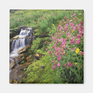 Nordamerika, USA, Montana, Glacier National 4 Magnet