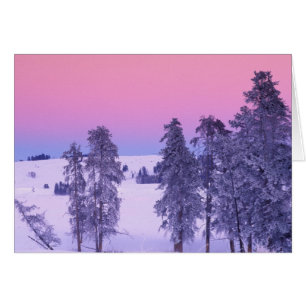 Nordamerika, USA, Montana, Yellowstone