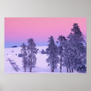 Nordamerika, USA, Montana, Yellowstone Poster