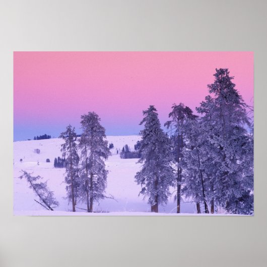 Nordamerika, USA, Montana, Yellowstone Poster (Vorne)