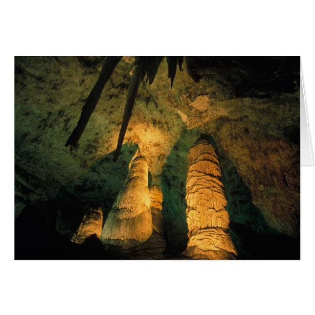 Nordamerika, USA, New Mexico, Carlsbad (Vorderseite (Horizontal))