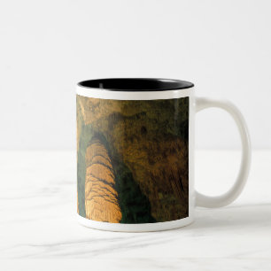 Nordamerika, USA, New Mexico, Carlsbad Zweifarbige Tasse