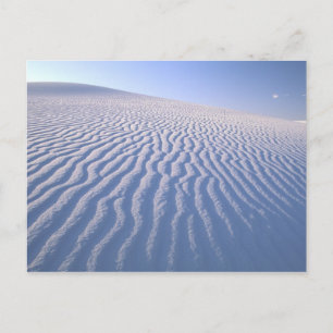 Nordamerika, USA, New Mexico, White Sand Dunes Postkarte