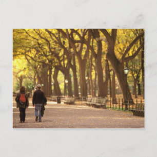 Nordamerika, USA, New York, New York City. 11 Postkarte