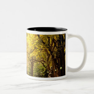 Nordamerika, USA, New York, New York City. 12 Zweifarbige Tasse